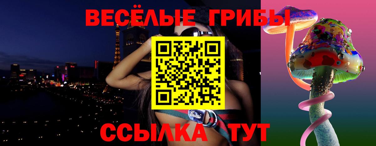 Псилоцибиновые грибы GOLDEN TEACHER  Вход с VPN  Псилоцибиновые грибы Cubensis  Сочи 